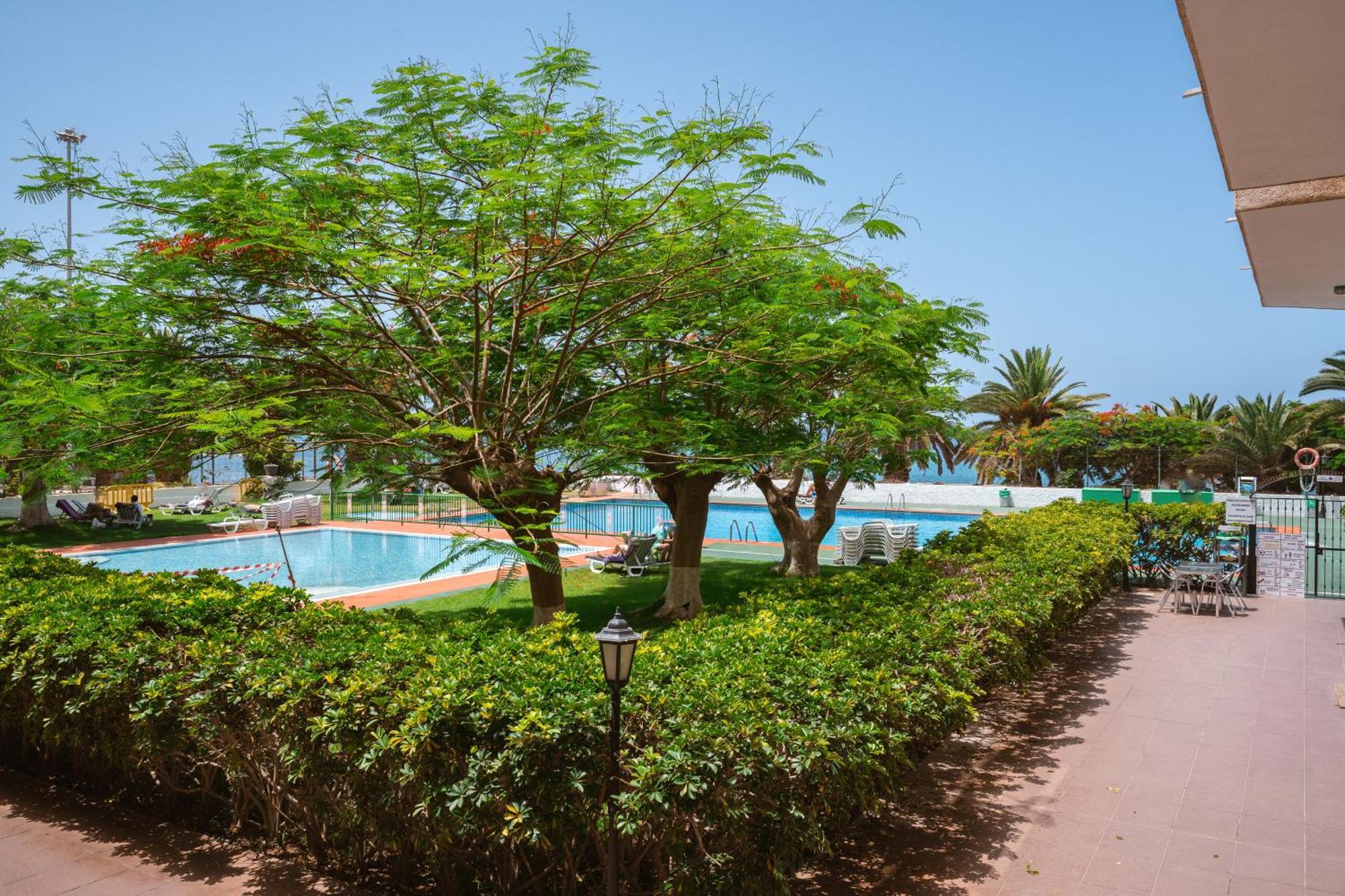 Go2Tenerife Apart'Dida Pool & First Line Of The Sea Los Cristianos (Tenerife) Exterior foto